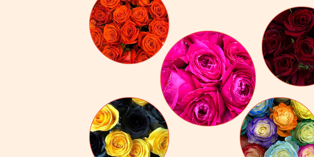 Bulk Tinted and Rainbow Roses - 400 Stems