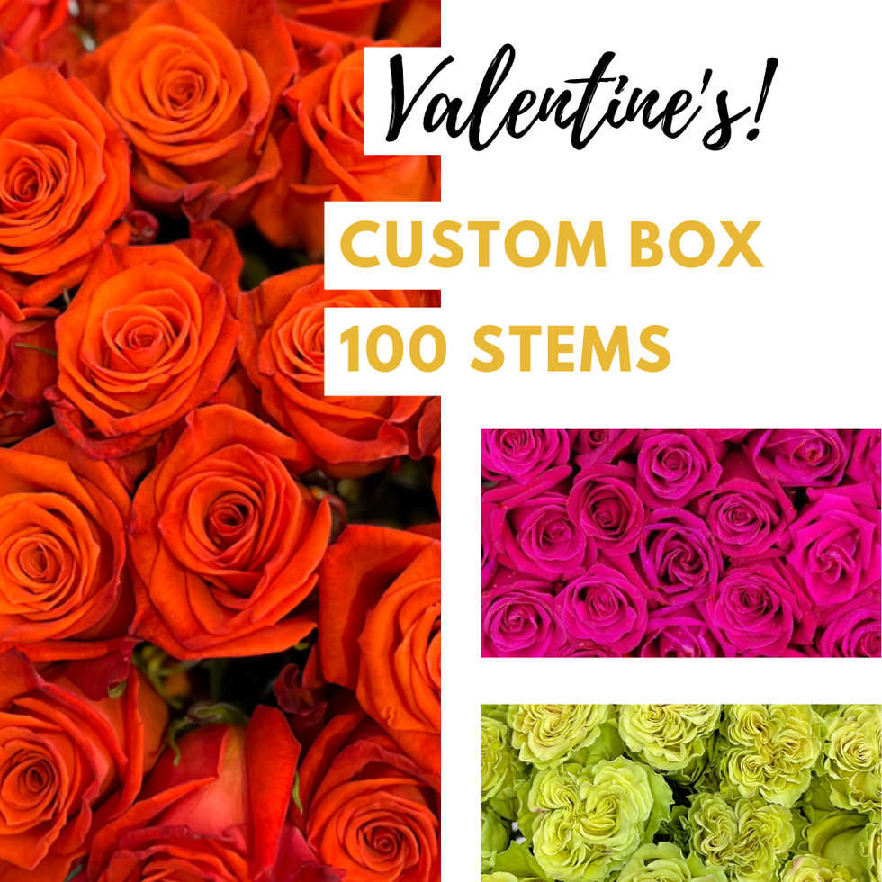 Cream roses - Buy cream roses - Flower Explosion