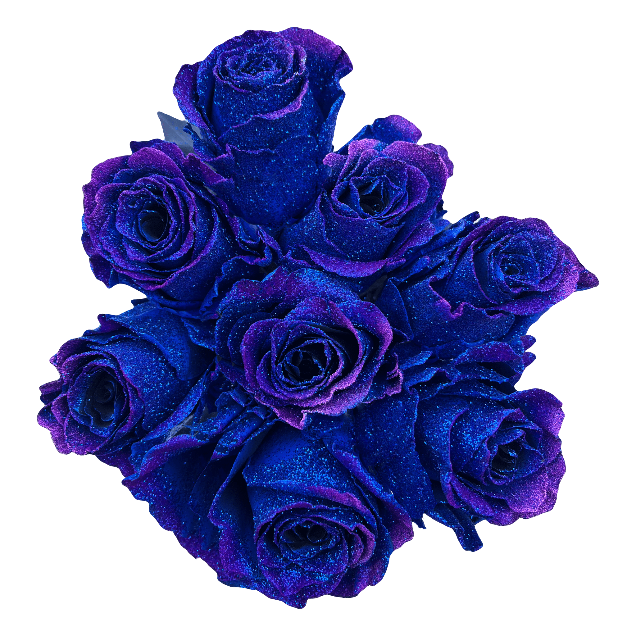 Starry Cluster Roses – Flower Explosion