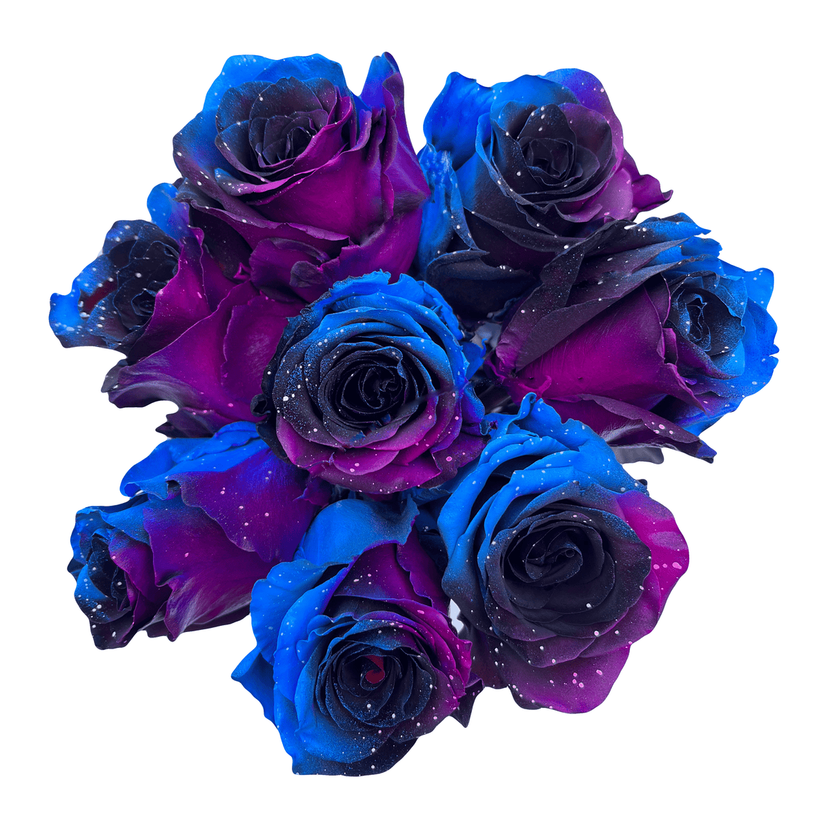 Astroworld Roses Starry Galaxy Roses – Flower Explosion