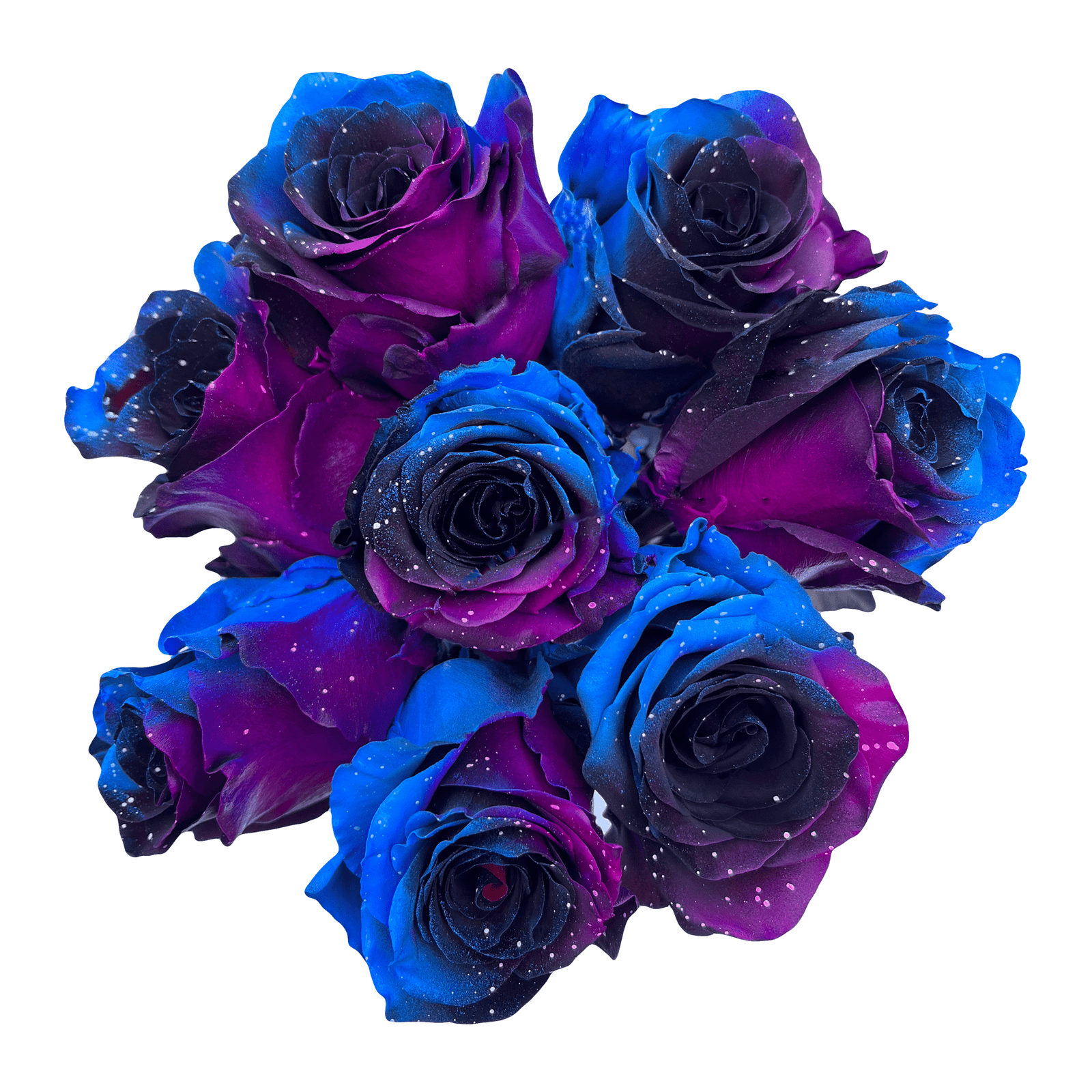 Starry Galaxy Roses – Flower Explosion