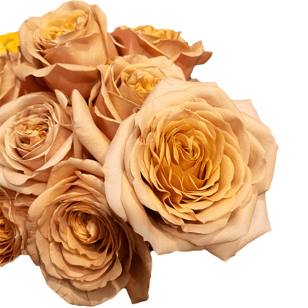 Toffee Roses - Brown Wedding Roses – Flower Explosion