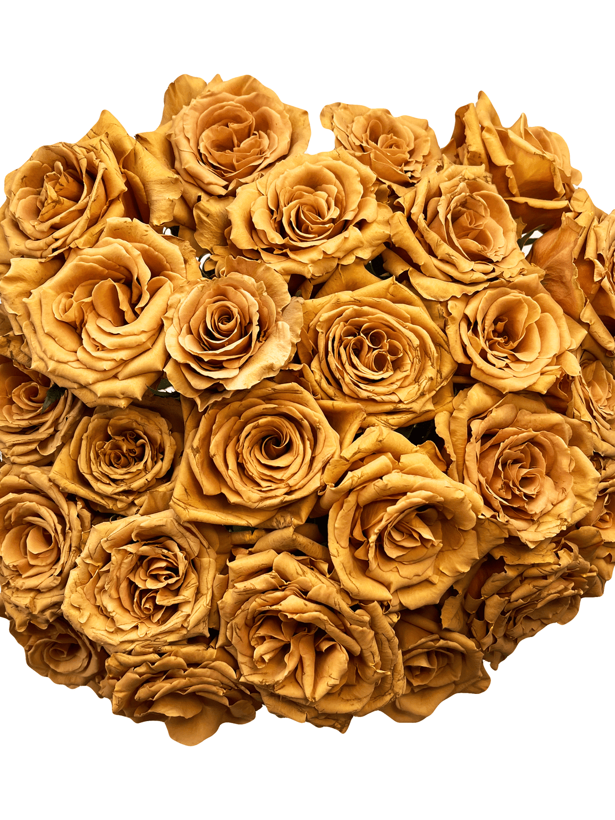 Rusty Colored Roses Terracotta roses for sale - Buy rusty brown roses - Flower Explosion