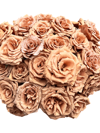 Terracotta roses for sale - Buy rusty brown roses - Flower Explosion