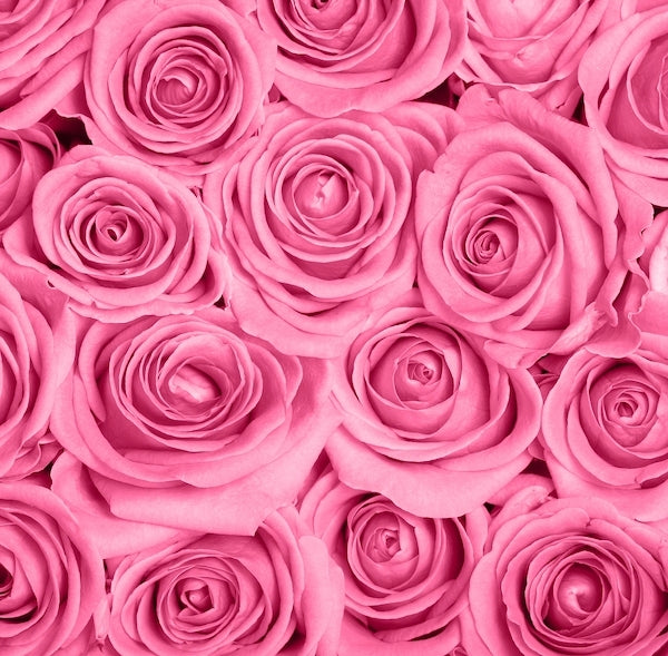Pink Is My Signature Color With Roses: Pink Aesthetic, Pink