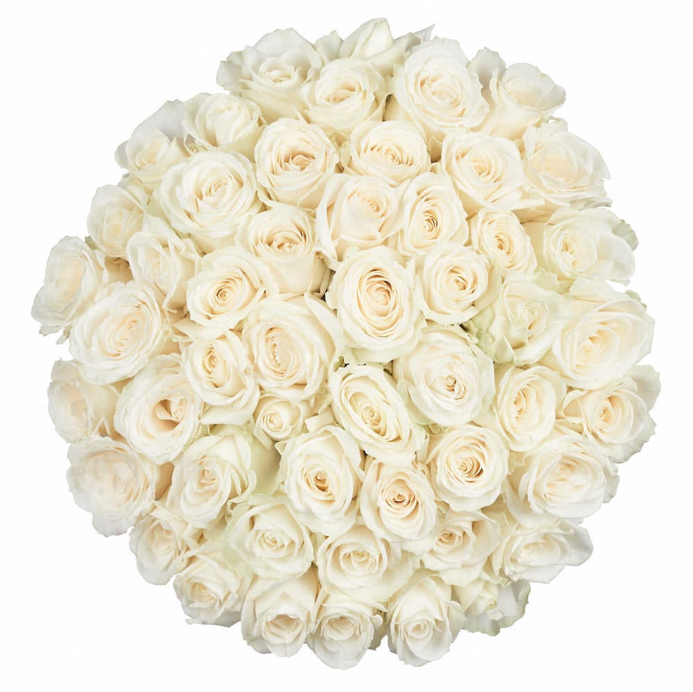 50 Fresh White Roses - Farm Direct Flower Delivery – Flower Explosion