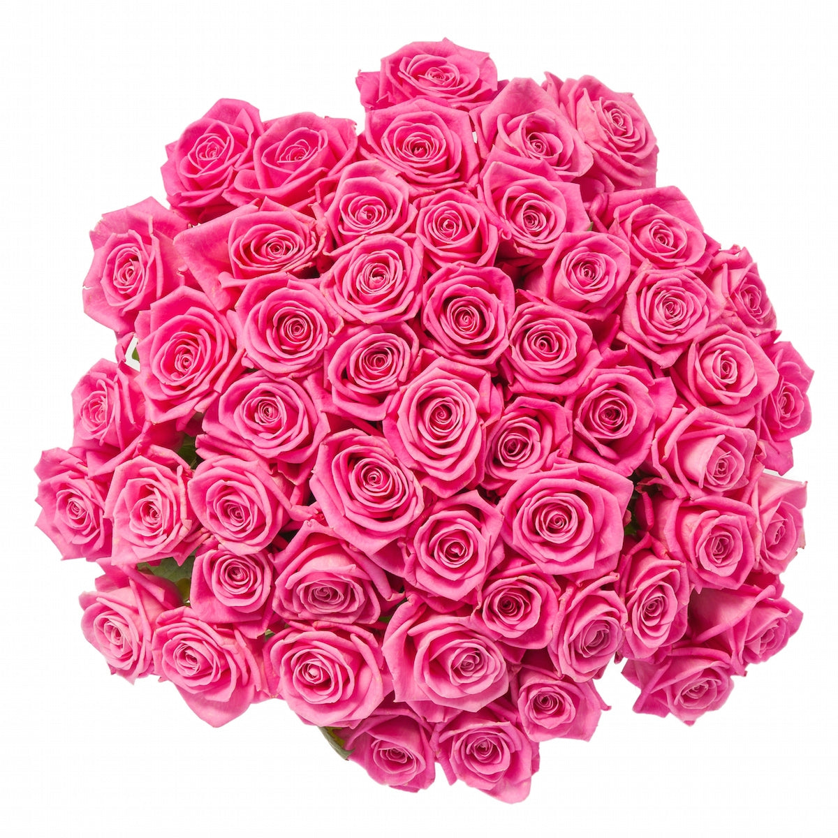  Blooms2Door 50 Pink Roses (Farm-Fresh, Long Stem - 50cm) -  Farm Direct Wholesale Fresh Flowers : Grocery & Gourmet Food