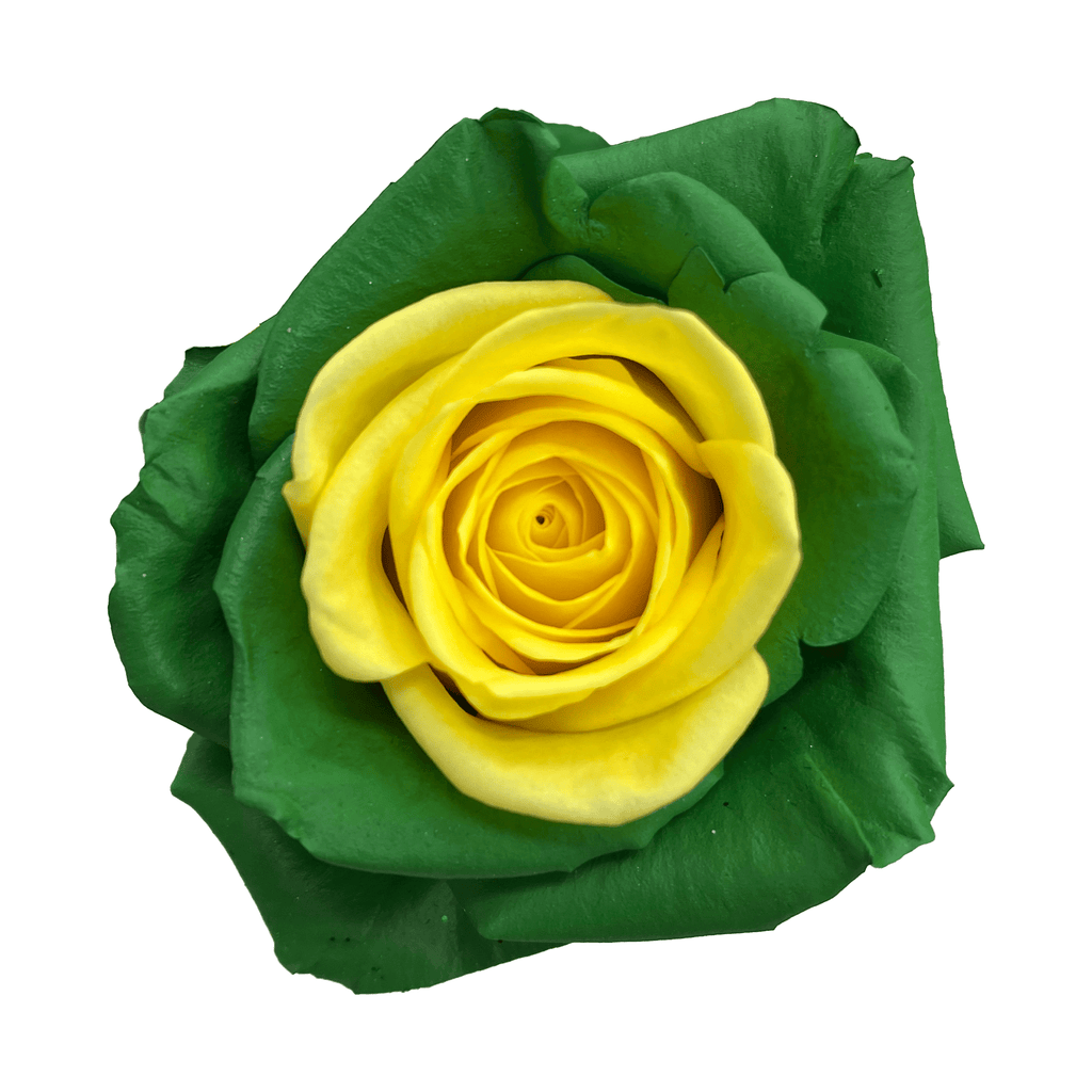 Green roses for sale - Buy green roses - Flower Explosion