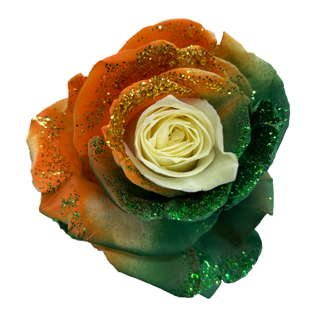 Green roses for sale - Buy green roses - Flower Explosion
