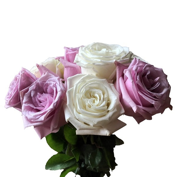 Assorted Premium Roses - Lavender and White | 50 Stems – Flower Explosion