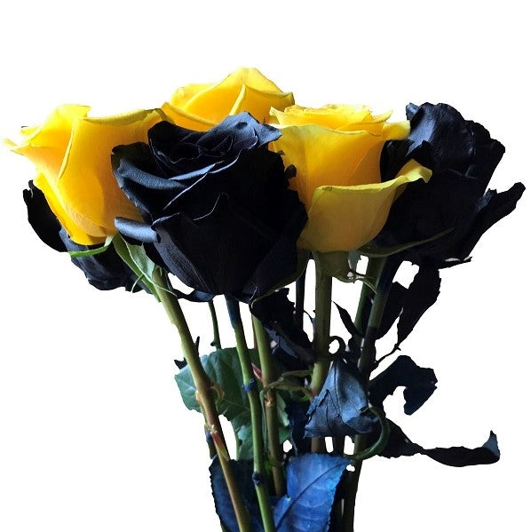 Mixed Black and Yellow Roses – Flower Explosion