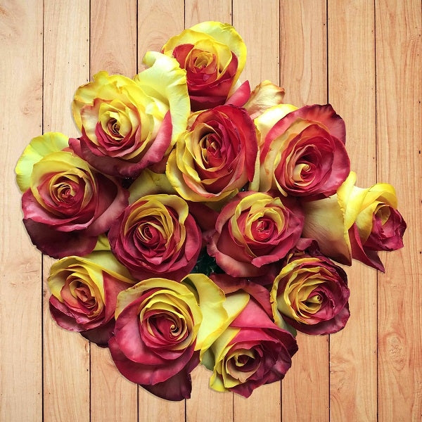 Red & Yellow Tinted Roses – Flower Explosion