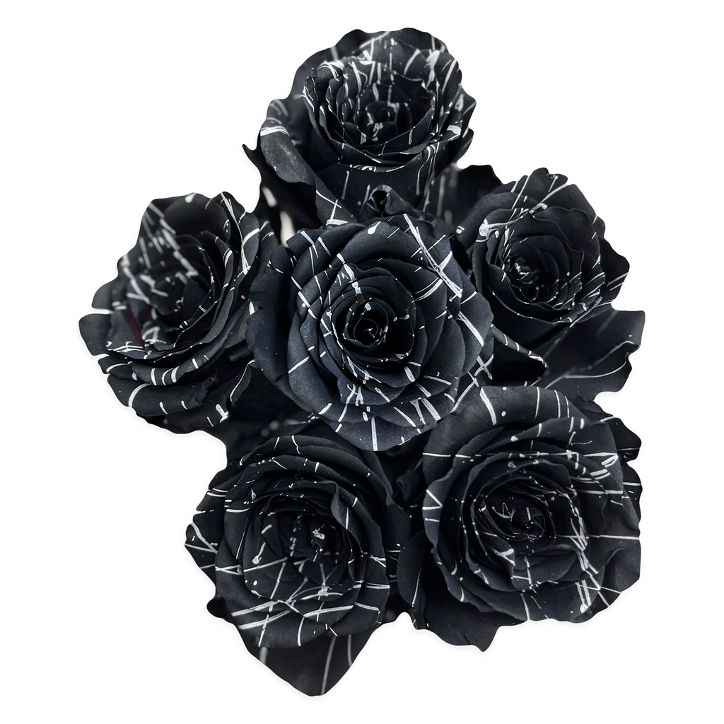 Queen of The Night - Tinted Black Roses with Pink Glitter