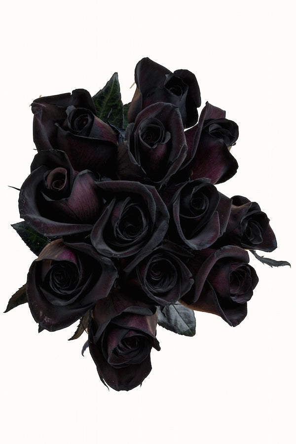 Great Choice Products 100 Pack Black Artificial Flowers, Bulk