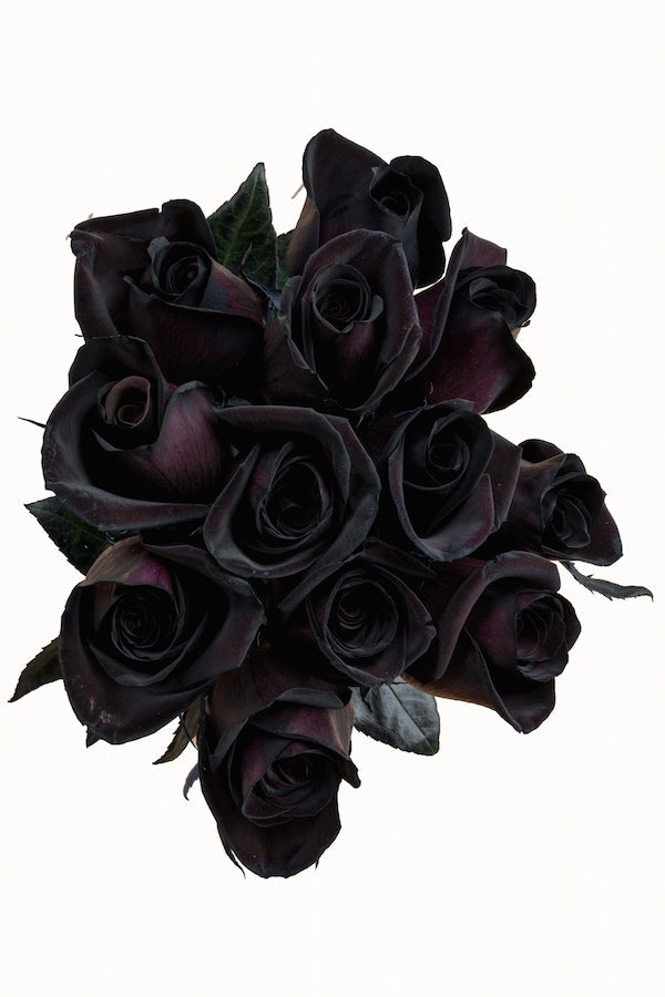Black Roses Bouquet