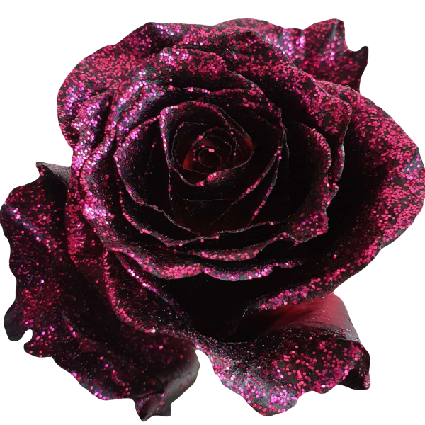Queen of The Night - Tinted Black Roses with Pink Glitter | Flower ...