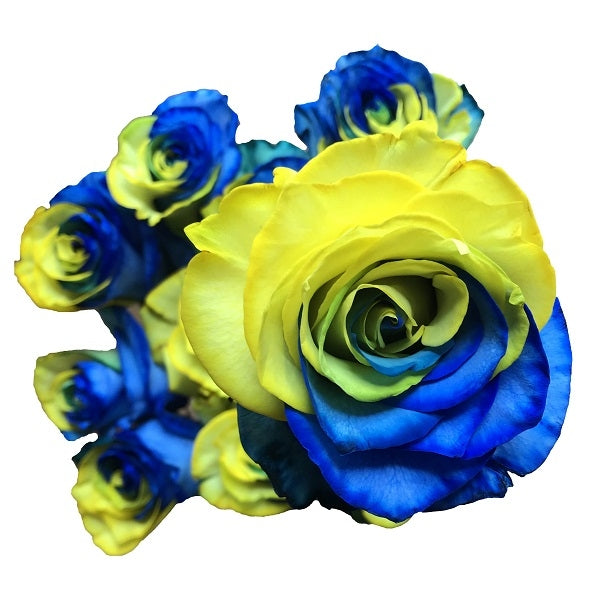 yellow and blue tinted rose