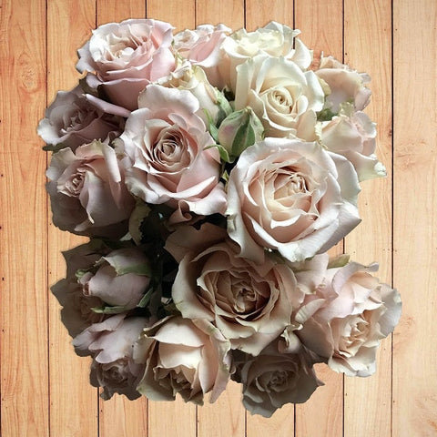 Blush roses for sale - Blush colored roses - Flower Explosion