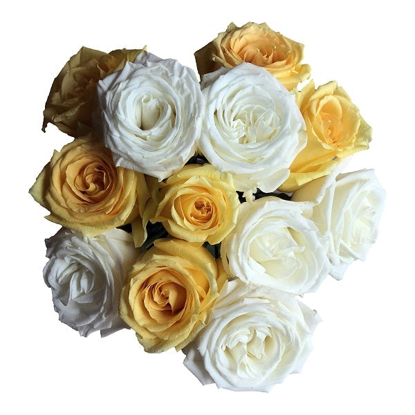 Mixed Fresh Cut Roses - White and Yellow | 50 Stems – Flower Explosion