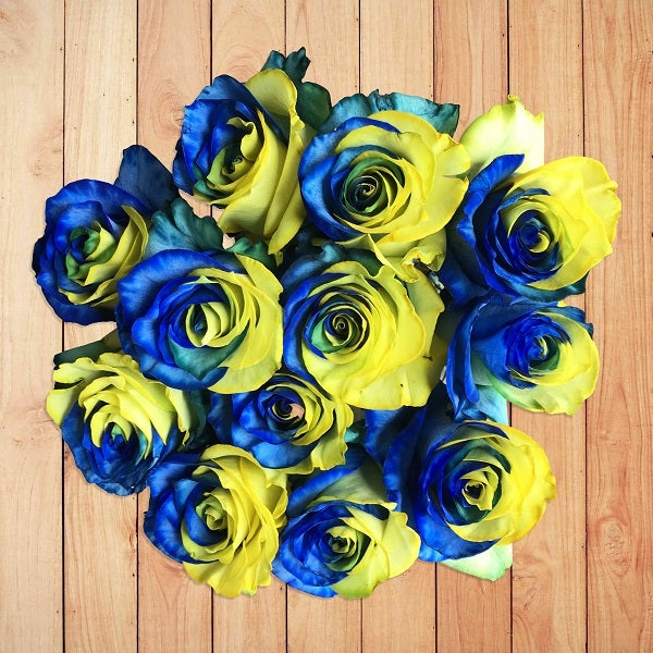 Light Blue Yellow Roses Roses Blue & Yellow Tinted Roses – Flower Explosion