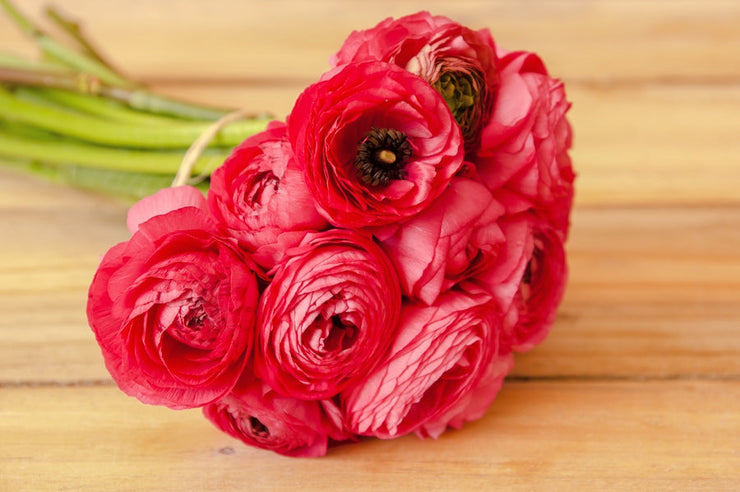 Ranunculus - Wedding Flowers - Flower Explosion