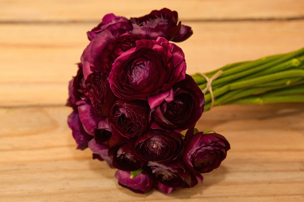 Ranunculus Purple