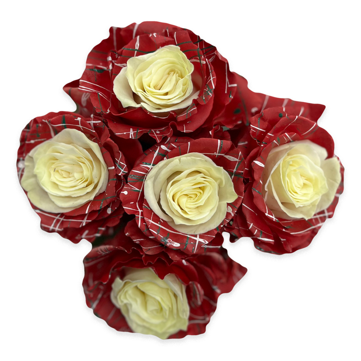 Candy Cane Roses - Flower Explosion