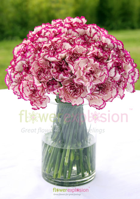 Purple & White Carnations Centerpiece