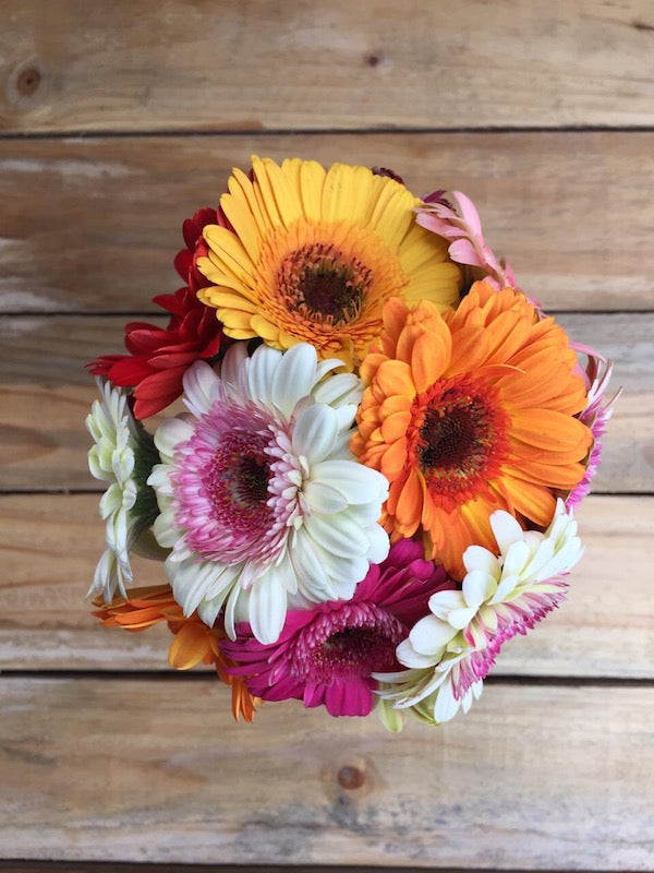 Cheeky - Mixed Daisies Bouquet