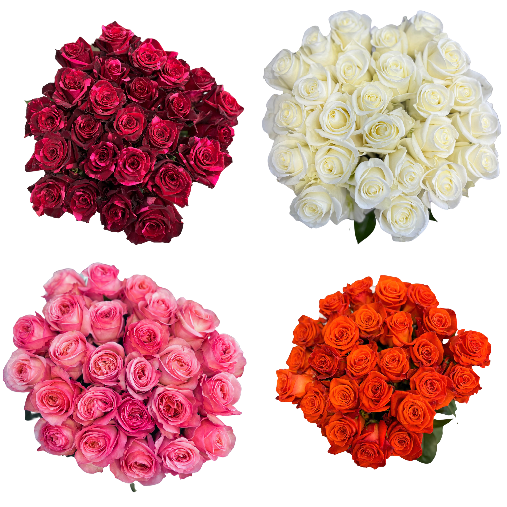 GlobalRose Red Roses- 50 Fresh Flowers- Beautiful Gift India