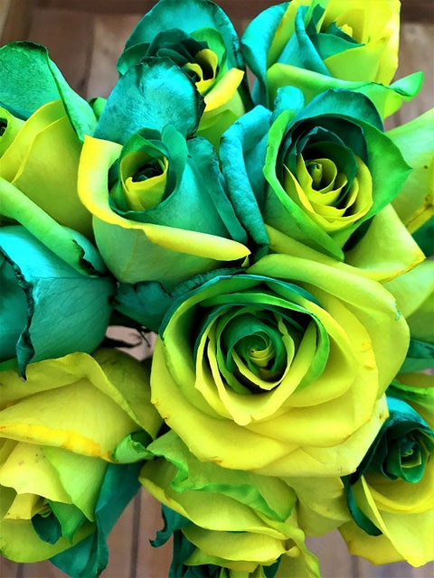 Citrus Twist Tinted Roses - Fresh Cut Tinted Roses Online | Flower ...