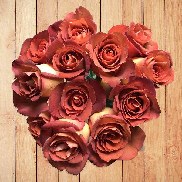 Copffee Break Roses Coffee Break Rose | Dark orange & Brown Rose | Wedding Rose – Flower ...