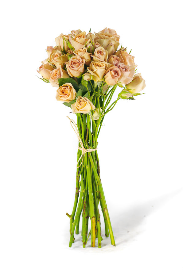 Cream Spray Roses Cream Spray Roses – Flower Explosion