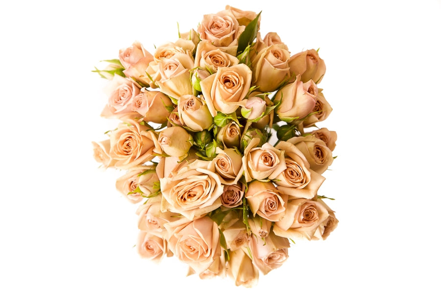 Cream Spray Roses – Flower Explosion