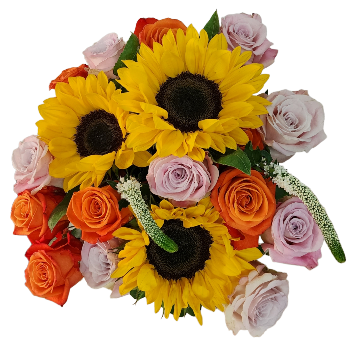 Enchanted Flower Explosion