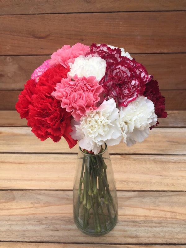 Red White Pink Purple Carnations Bouquet