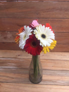 Gerbera Daisy Bouquet