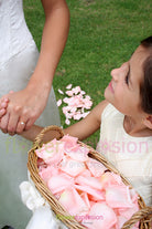 Rose Petals