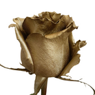 Gold Rose Metallic