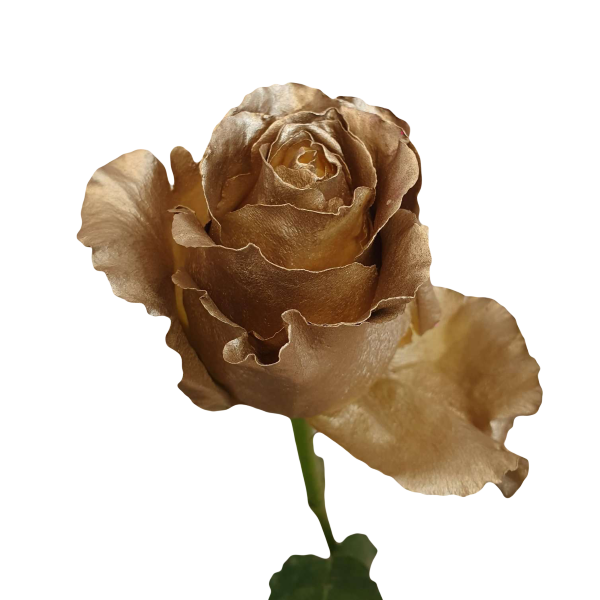 Spray Painted Gold Roses