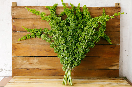 Floral Greenery Filler Stems for Bouquets Do It Yourself Bridal Bouquet  Green Floral Stems 20ct Mixed Greenery Stems 