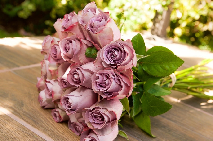 Grey Red Roses Grey And Pink Roses