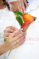 Groom's Boutonniere