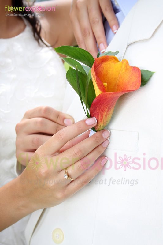 Groom's Boutonniere
