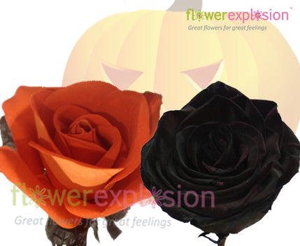Haloween Roses Wholesale Orange and Black Halloween Tinted Roses for Parties Online ...