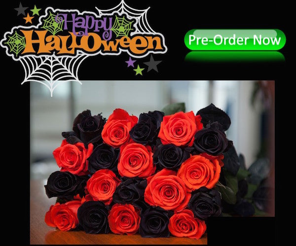 Wholesale Orange and Black Halloween Tinted Roses for Parties Online ...