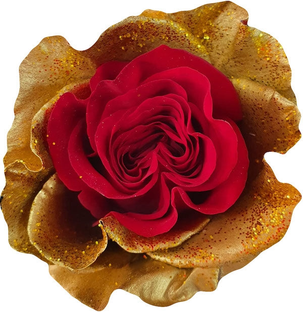Heart of Gold Specialty Roses – Flower Explosion