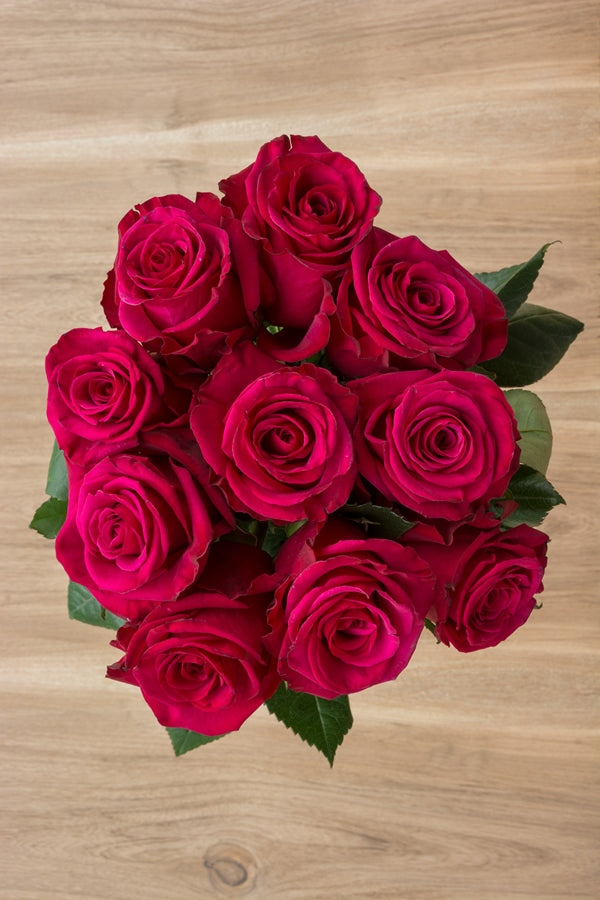 Mother's Day Hot Pink Roses With Filler - Affordable Gift Roses