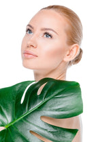 large monstera leaf
