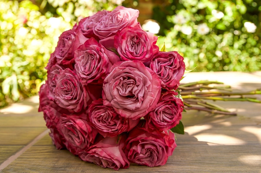 Moody Blues Roses | Your Wholesale Flower Shop - Flower Explosion